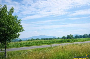 Teren Intravilan de vanzare EXTERIOR EST - Brasov anunturi imobiliare Brasov