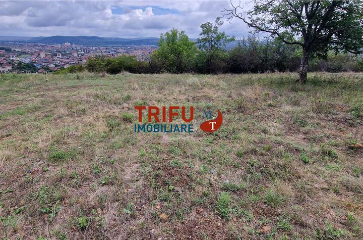 Teren Intravilan de vanzare CETATE - Alba anunturi imobiliare Alba