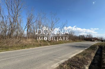 Teren de vanzare LELESTI - Gorj anunturi imobiliare Gorj