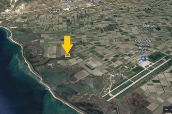 Teren 34.711 mp în Erateino (Timari) anunturi imobiliare Grecia