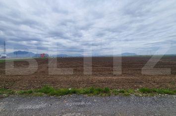 Teren de vanzare HARMAN - Brasov anunturi imobiliare Brasov