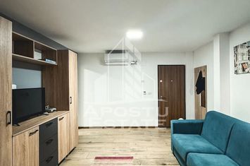 Apartament cu 1 camera, centrala, Petfriendly, zona Bogdanestilor anunturi imobiliare Timis