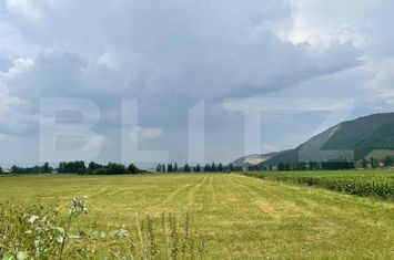 Teren de vanzare CRISTIAN - Brasov anunturi imobiliare Brasov