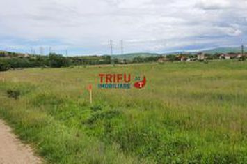 Teren Intravilan de vanzare BARABANT - Alba anunturi imobiliare Alba