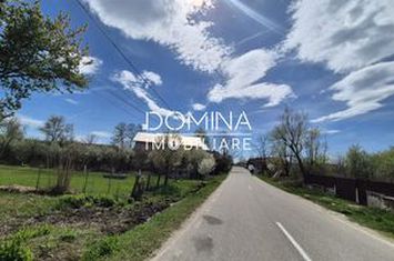 Teren de vanzare CURTISOARA - Gorj anunturi imobiliare Gorj