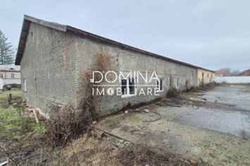 Spațiu industrial de vanzare TARGU-JIU - Gorj anunturi imobiliare Gorj