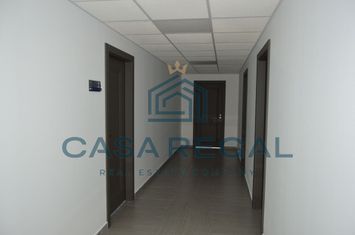 Spatiu de birouri, 60mp utili, etajul 1, Cantemir anunturi imobiliare Bihor