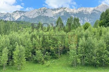 COMISION 0%! Teren superb la Plaiul Foii, pe malul Barsei anunturi imobiliare Brasov
