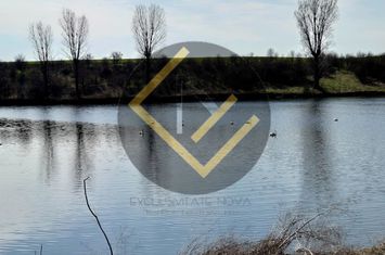 Teren INTRAVILAN pe malul Lacului Moara Domneasca Ganeasa deschidere la apa anunturi imobiliare Bucuresti