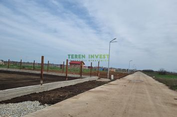 VANZARE TEREN  INTRAVILAN - 1000 MP - POPESTI LEORDENI anunturi imobiliare Bucuresti