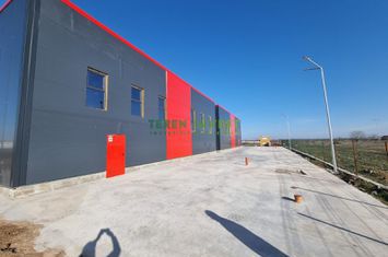 Hala Industrială de Vânzare – Locație Ideală pentru Afacerea Ta! anunturi imobiliare Bucuresti