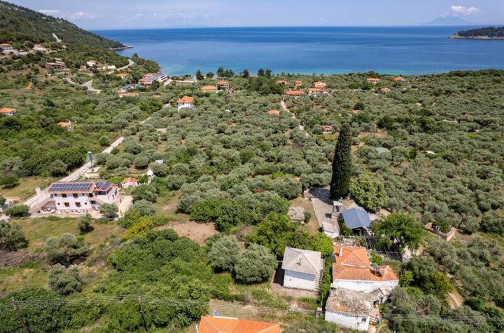 Teren construibil 85 mp, vedere la mare, Koinira (Thassos) anunturi imobiliare Grecia