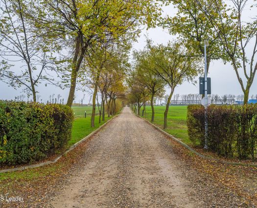 Teren Intravilan Afumati, 1133 mp