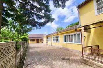 Casa individuala investitie, teren 1025mp, comision ZERO, zona Sagului anunturi imobiliare Timis