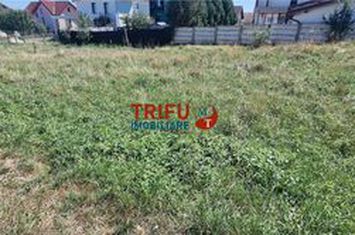 Teren Intravilan de vanzare CETATE - Alba anunturi imobiliare Alba