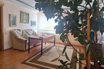 CASA D+P+1+M-TEREN 1027 MP-PARC LAURENTIU RAICIU anunturi imobiliare Bucuresti