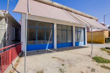 Casă + magazin 72+92 mp pe teren 800 mp, Trayilos anunturi imobiliare Grecia