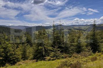 Teren de vanzare VALISOARA - Alba anunturi imobiliare Alba