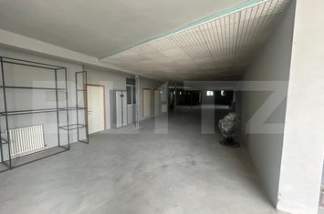 Spațiu industrial de inchiriat RAZVAD - Dambovita anunturi imobiliare Dambovita