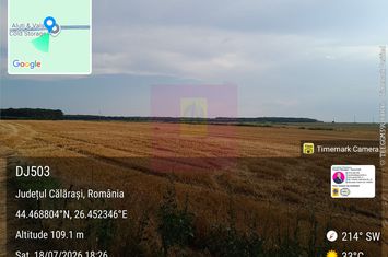 Belciugatele- teren 21k mp la pret ff bun / mp anunturi imobiliare Calarasi