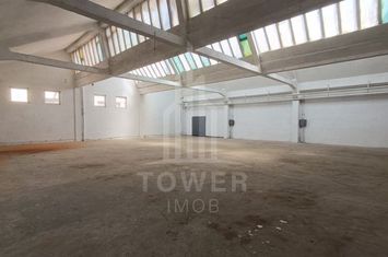 Hala de închiriat – 256 mp – Cisnădie anunturi imobiliare Sibiu