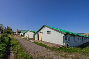 Spațiu comercial de vanzare SEBES - Alba anunturi imobiliare Alba