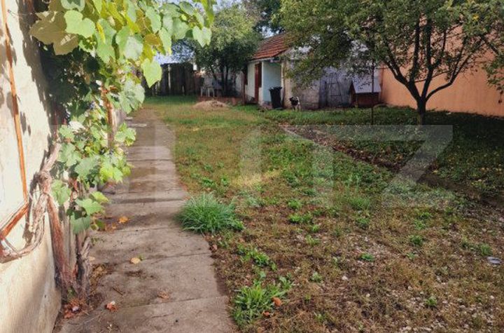 Casă - 5 camere de vanzare HALCHIU - Brasov anunturi imobiliare Brasov