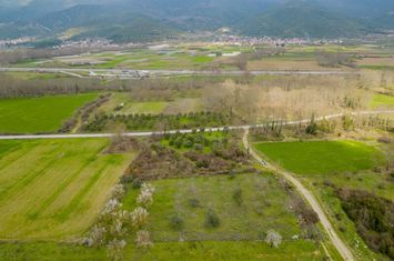 Teren agricol 3125 mp în Mesotopos, Kavala anunturi imobiliare Grecia