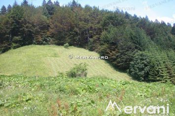 Teren Intravilan de vanzare AZUGA - Prahova anunturi imobiliare Prahova