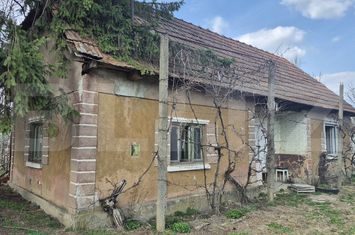 Teren de vanzare MICULA - Satu Mare anunturi imobiliare Satu Mare