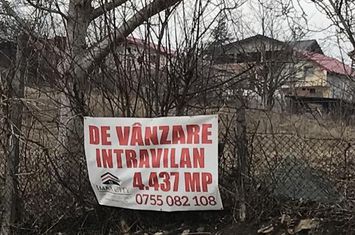 Teren Intravilan de vanzare SUD-EST - Arad anunturi imobiliare Arad