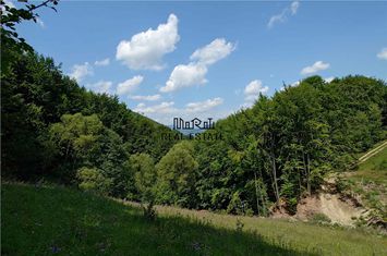 Teren Extravilan de vanzare BUCES - Hunedoara anunturi imobiliare Hunedoara