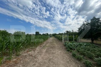 Teren de vanzare CRANGURILE DE JOS - Dambovita anunturi imobiliare Dambovita