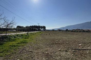 Teren construibil 1.216 mp în Kokkinogeia, Prossotsani anunturi imobiliare Grecia