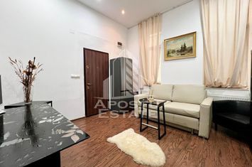 Apartament 2 camere, centrala proprie, PetFriendly,zona Ultracentrala anunturi imobiliare Timis