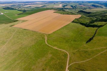 Teren arabil de 1284 hectare în Botoșani anunturi imobiliare Botosani