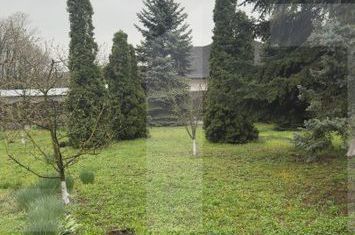 Casă - 5 camere de vanzare BOTOSANI - Botosani anunturi imobiliare Botosani