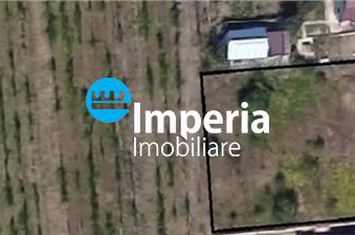 Teren Intravilan de vanzare BUCIUM - Iasi anunturi imobiliare Iasi