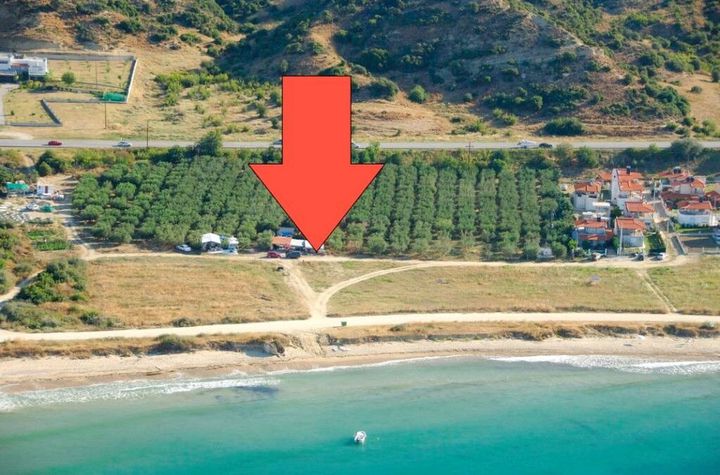 Teren construibil 13600 mp, Nea Mesolakkia (Kariani) anunturi imobiliare Grecia