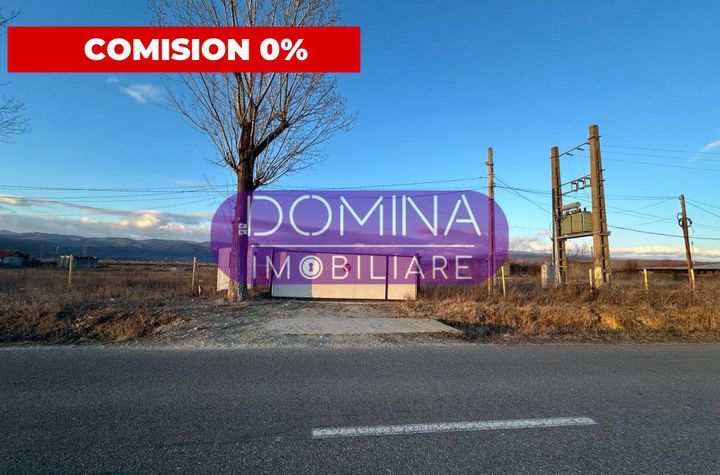 Teren de vanzare TETILA - Gorj anunturi imobiliare Gorj