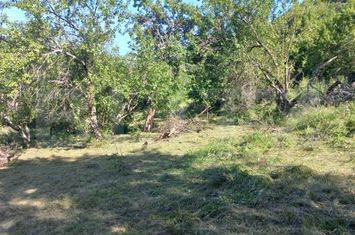 Teren de vanzare VINTU DE JOS - Alba anunturi imobiliare Alba