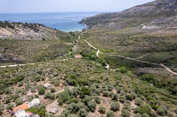 Teren construibil 7100 mp în Thimonia, Thassos anunturi imobiliare Grecia