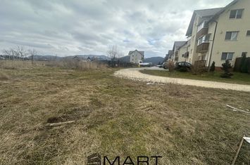 Teren de vanzare RASNOV - Brasov anunturi imobiliare Brasov