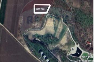 Teren 5,000mp Vorovesti / None anunturi imobiliare Iasi