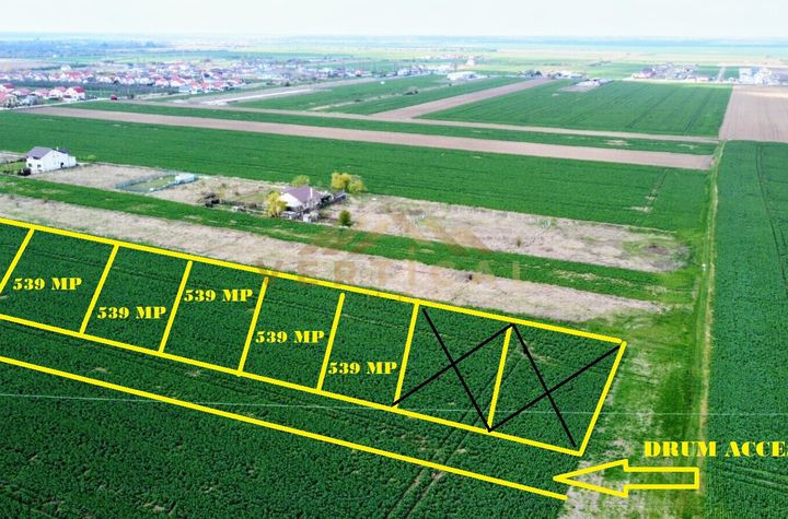 Teren Intravilan de vanzare COMUNA BERCENI - Bucuresti anunturi imobiliare Bucuresti
