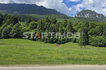 Teren intravilan Zarnesti Plaiul Foii anunturi imobiliare Brasov