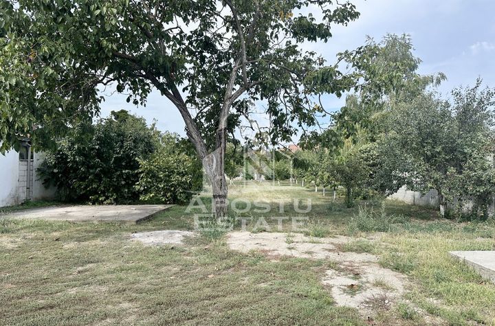 Casa cu teren 1451 mp, Dumbravita anunturi imobiliare Timis