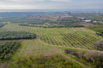 Teren agricol 9.700 mp în Paralia Ofriniou anunturi imobiliare Grecia
