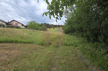 Teren de vanzare in Campina, Muscel anunturi imobiliare Prahova