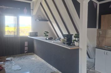 Vilă - 3 camere de vanzare TEISANI - Prahova anunturi imobiliare Prahova